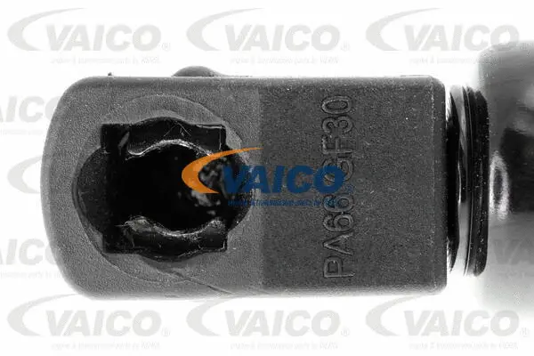 Gas Spring, boot/cargo area