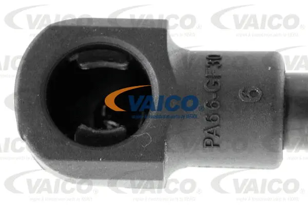 Gas Spring, boot/cargo area