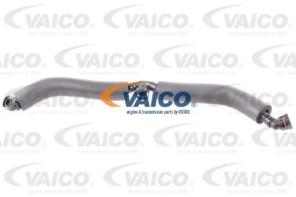 Hose, crankcase ventilation