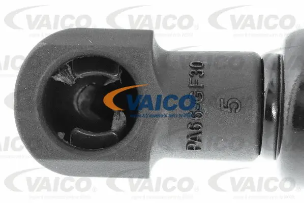 Gas Spring, boot/cargo area