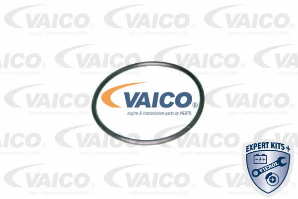 Hydraulic Filter, automatic transmission