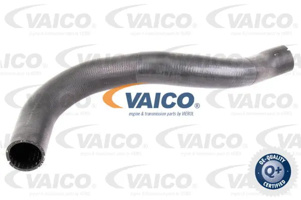 Charge Air Hose