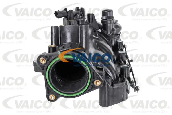 Intake Manifold Module