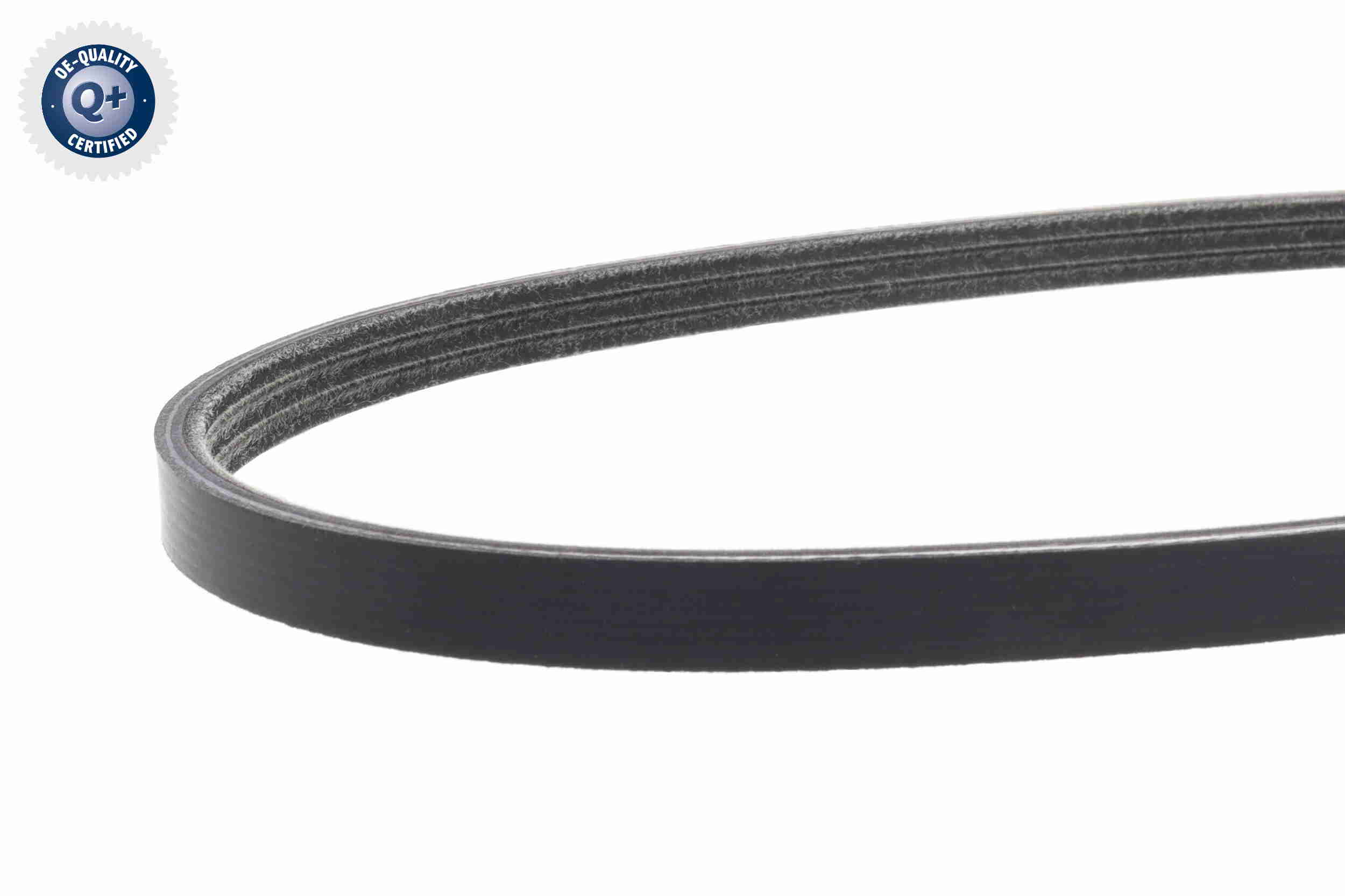 V-Ribbed Belt