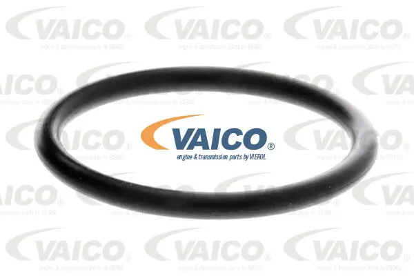 Coolant Flange