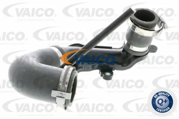 Charge Air Hose