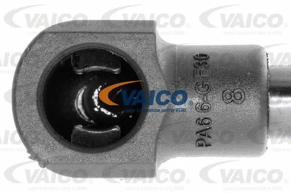 Gas Spring, boot/cargo area
