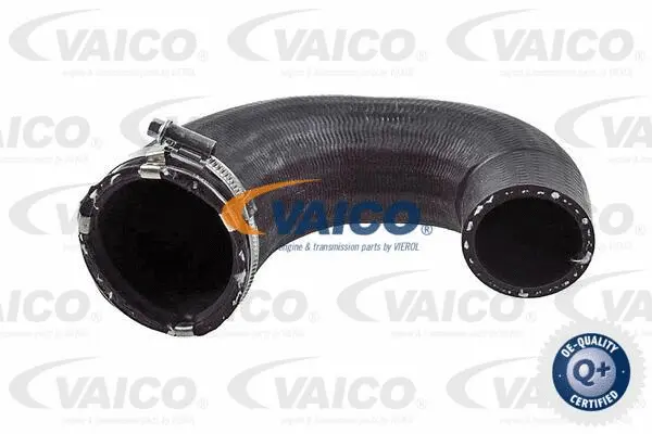 Charge Air Hose