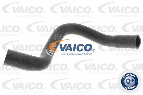 Radiator Hose