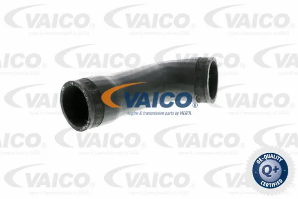 Charge Air Hose