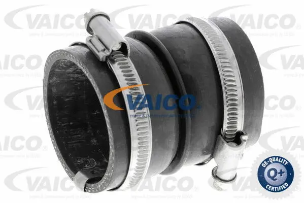 Charge Air Hose