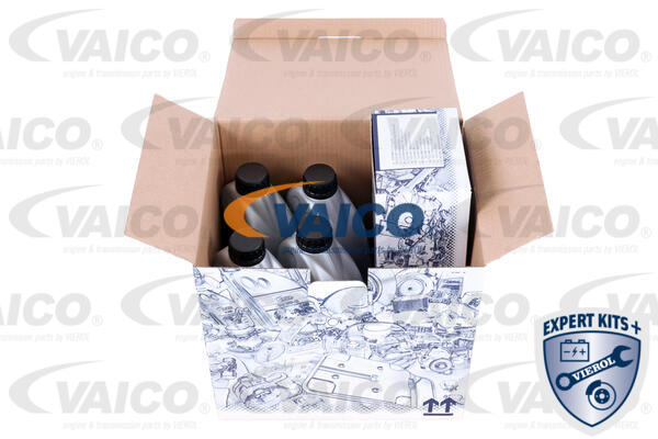 Timing Belt Kit
