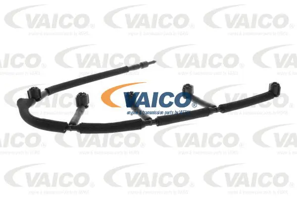 Fuel Line