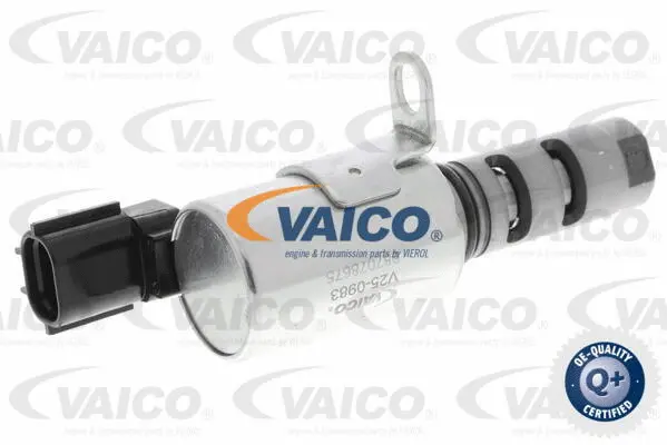 Control Valve, camshaft adjustment