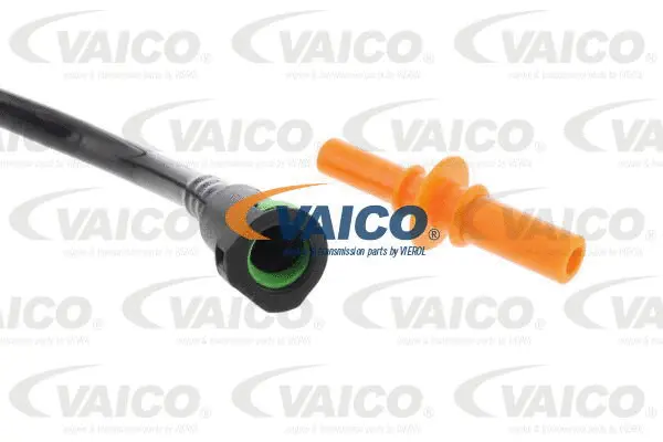 Fuel Line