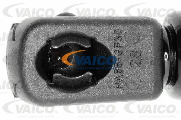 Gas Spring, boot/cargo area