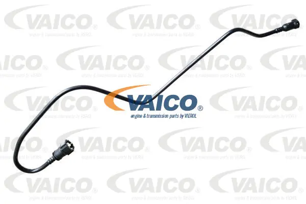 Fuel Line