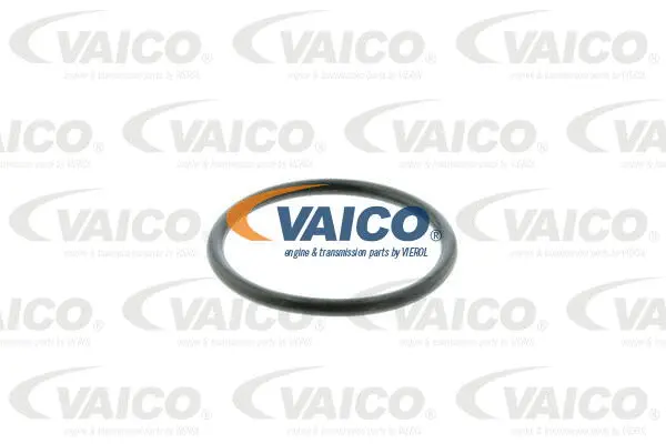 Hydraulic Filter, automatic transmission