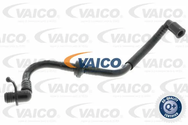 Vacuum Hose, braking system