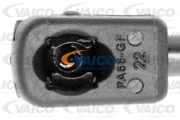 Gas Spring, boot/cargo area