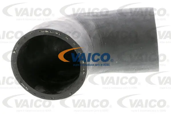 Charge Air Hose