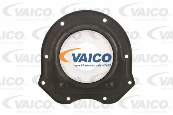 Shaft Seal, differential