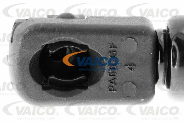 Gas Spring, rear window