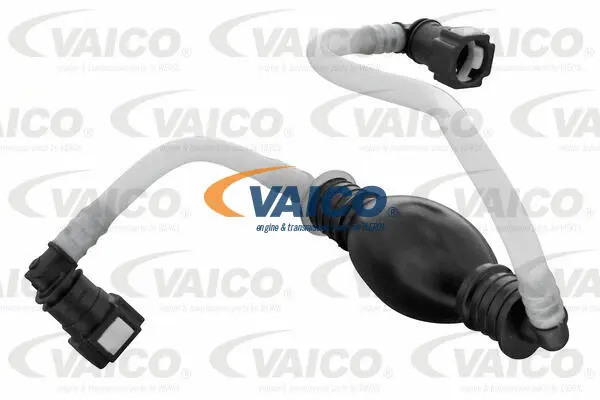 Fuel Line