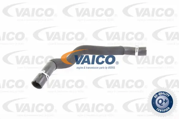Radiator Hose (V30-1917)