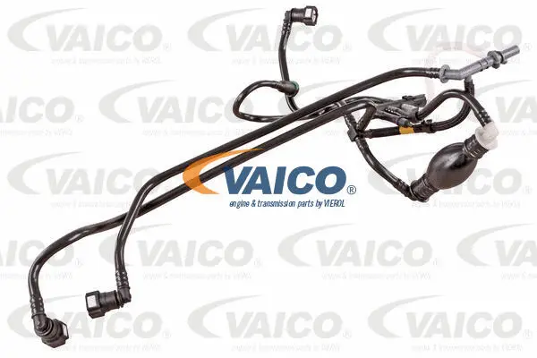 Fuel Line