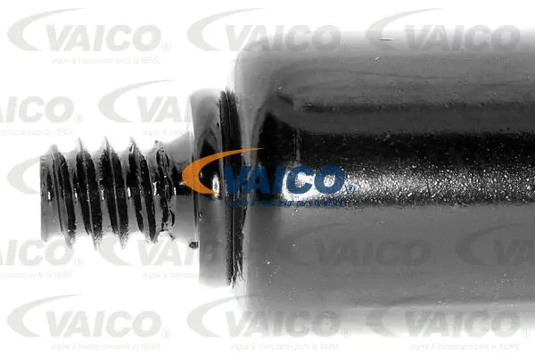 Gas Spring, bonnet