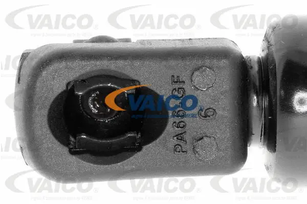 Gas Spring, boot/cargo area