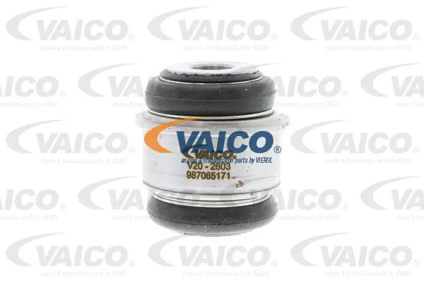 Mounting, control/trailing arm