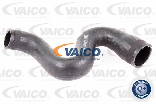 Charge Air Hose