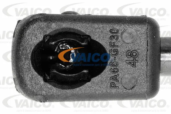 Gas Spring, boot/cargo area