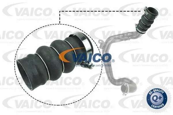 Charge Air Hose
