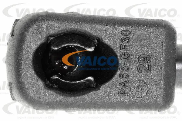 Gas Spring, boot/cargo area