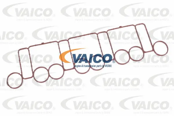 Intake Manifold Module