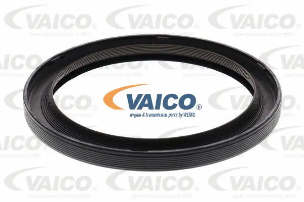 Shaft Seal, differential