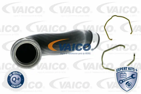 Charge Air Hose