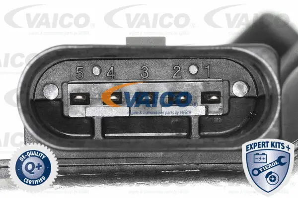 Intake Manifold Module