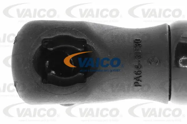 Gas Spring, boot/cargo area