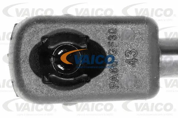 Gas Spring, boot/cargo area
