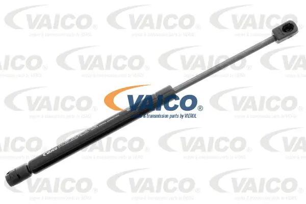 Gas Spring, boot/cargo area