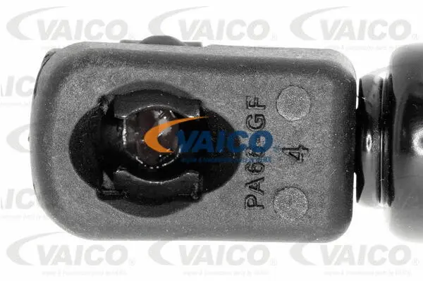 Gas Spring, rear window