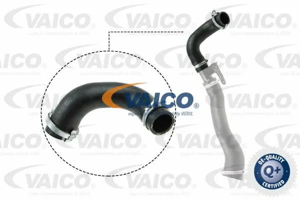 Charge Air Hose