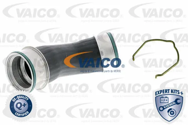 Charge Air Hose