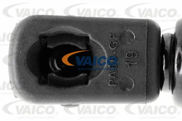 Gas Spring, boot/cargo area