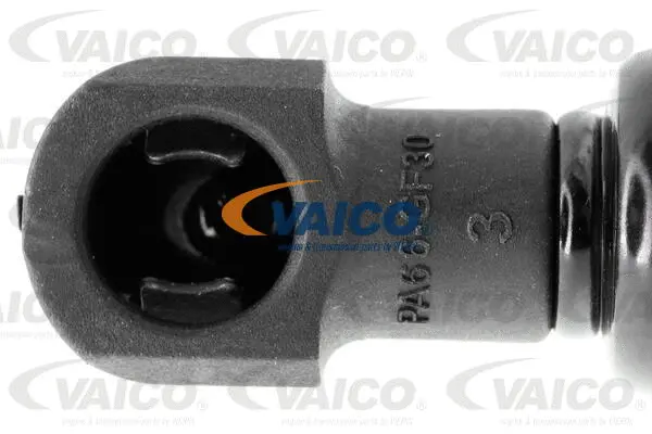Gas Spring, boot/cargo area