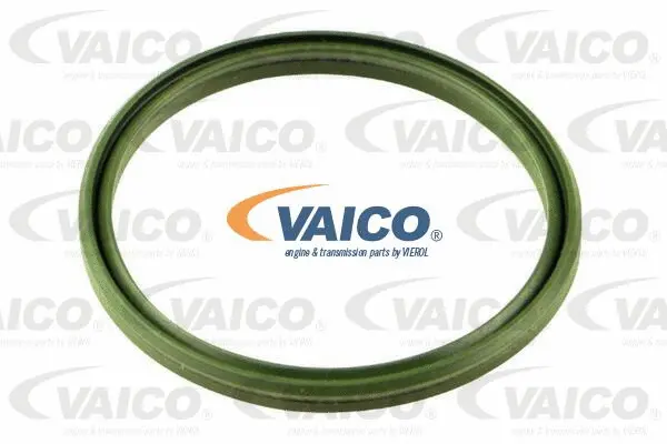 Seal Ring, charge air hose